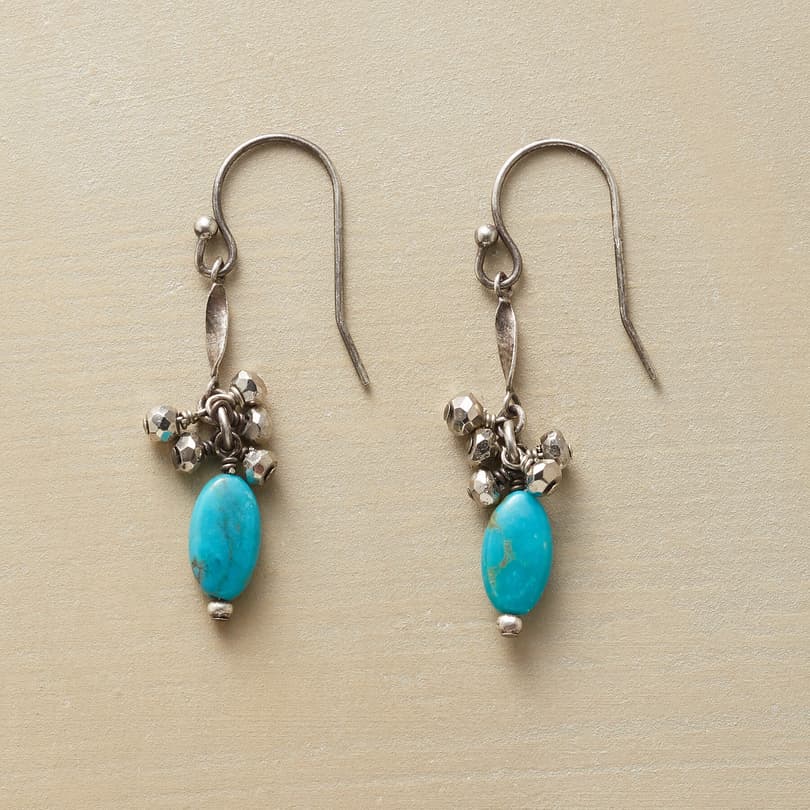 TURQUOISE WITH A TWIST EARRINGS view 1