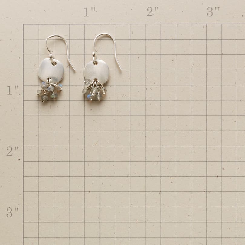 SAND DOLLOP EARRINGS view 1