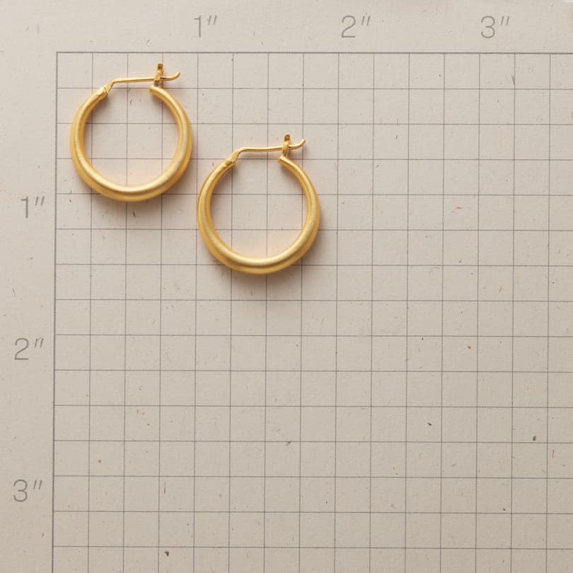 Paragon Hoops View 2