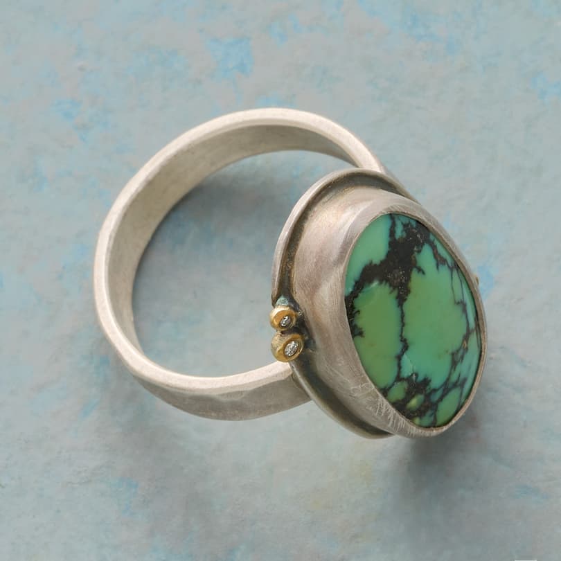 Starlit Turquoise Ring View 2