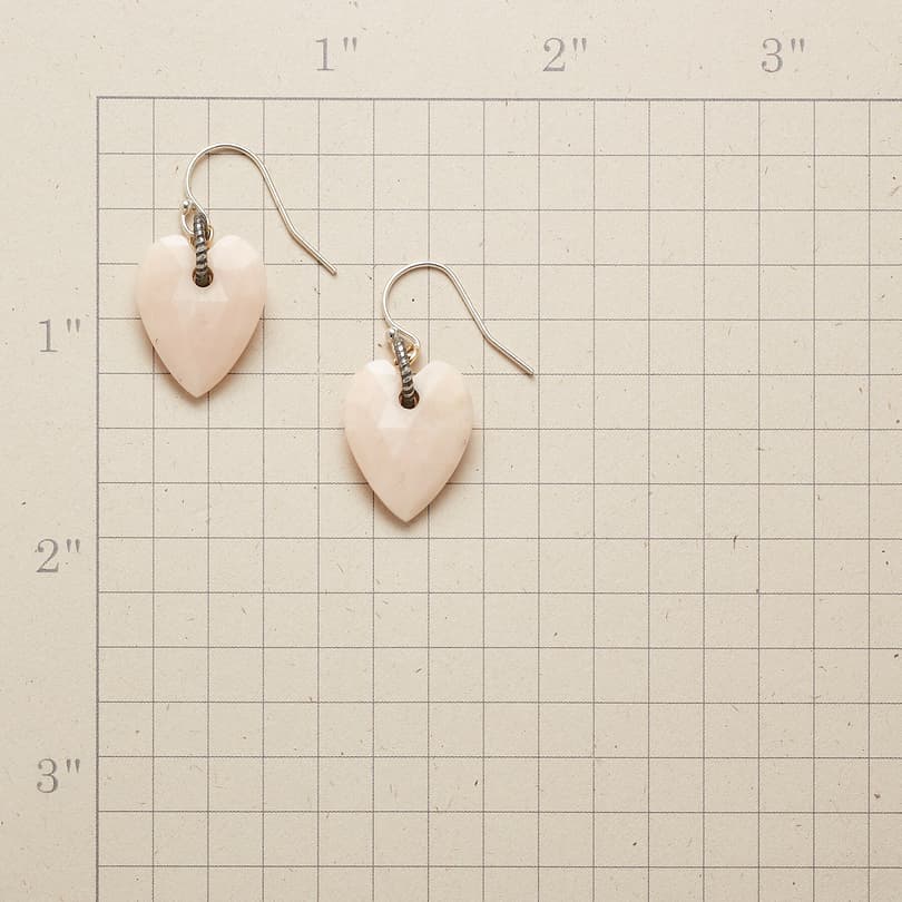 PARAMOUR EARRINGS view 1