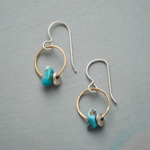 RING AROUND EARRINGS view 1