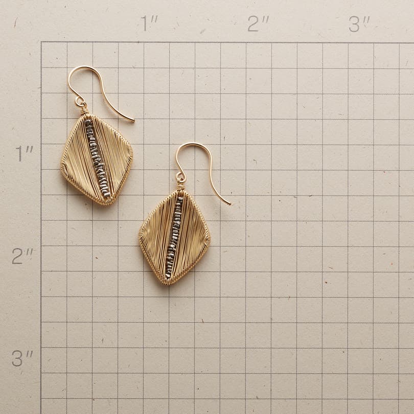 STAY GROUNDED EARRINGS View 2