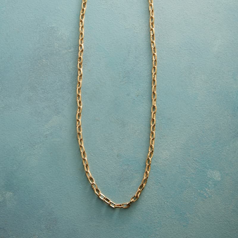 Loyal Chain Necklace View 1