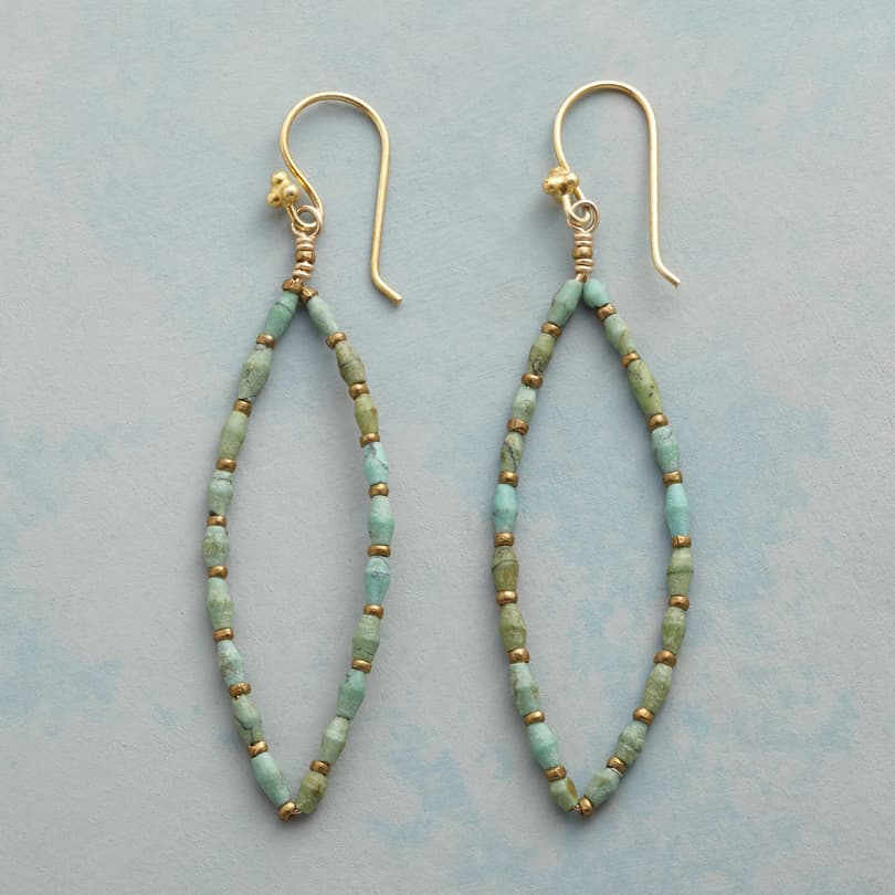 TURQUOISE TRACERY EARRINGS view 1