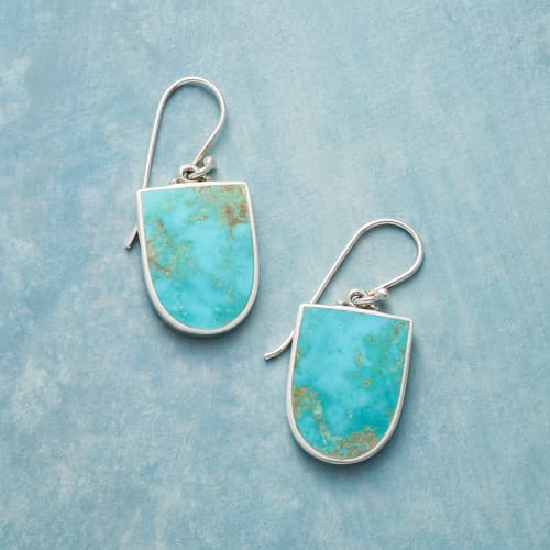 TURQUOISE PROTECTOR EARRINGS view 1