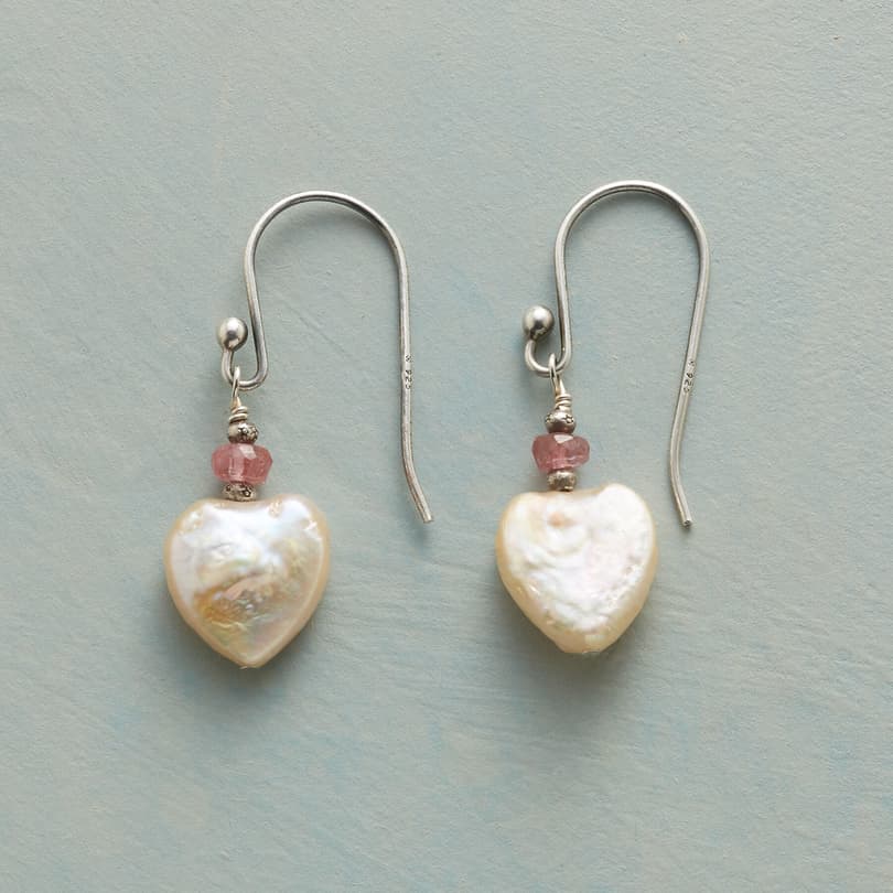 PERFECT PARTNERS EARRINGS view 1