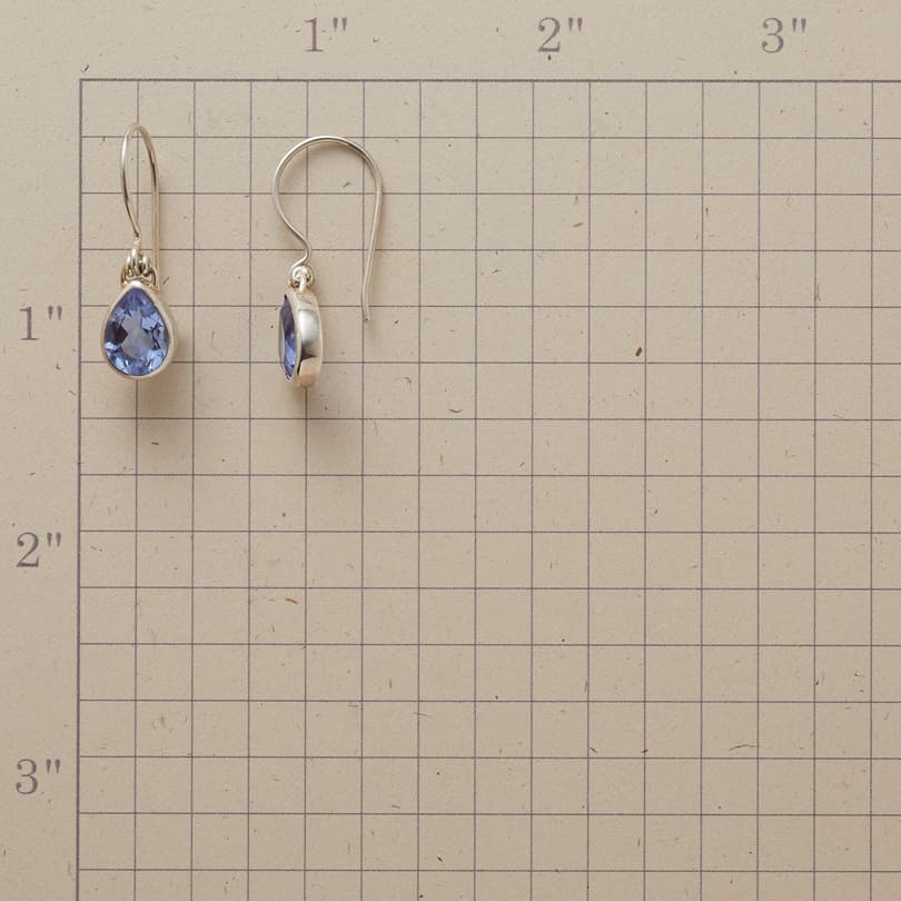 HINGED TO BLUE EARRINGS view 1