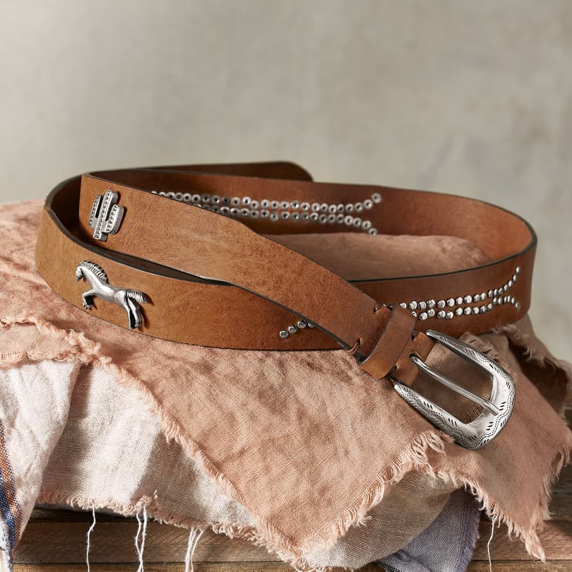 Mustang Studded Belt View 3C_SDDL