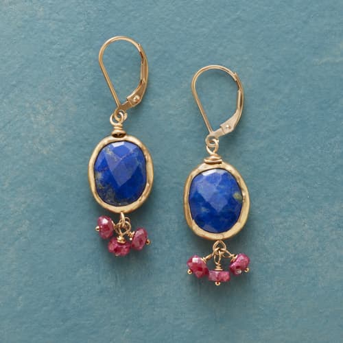 Color Rich Earrings View 1