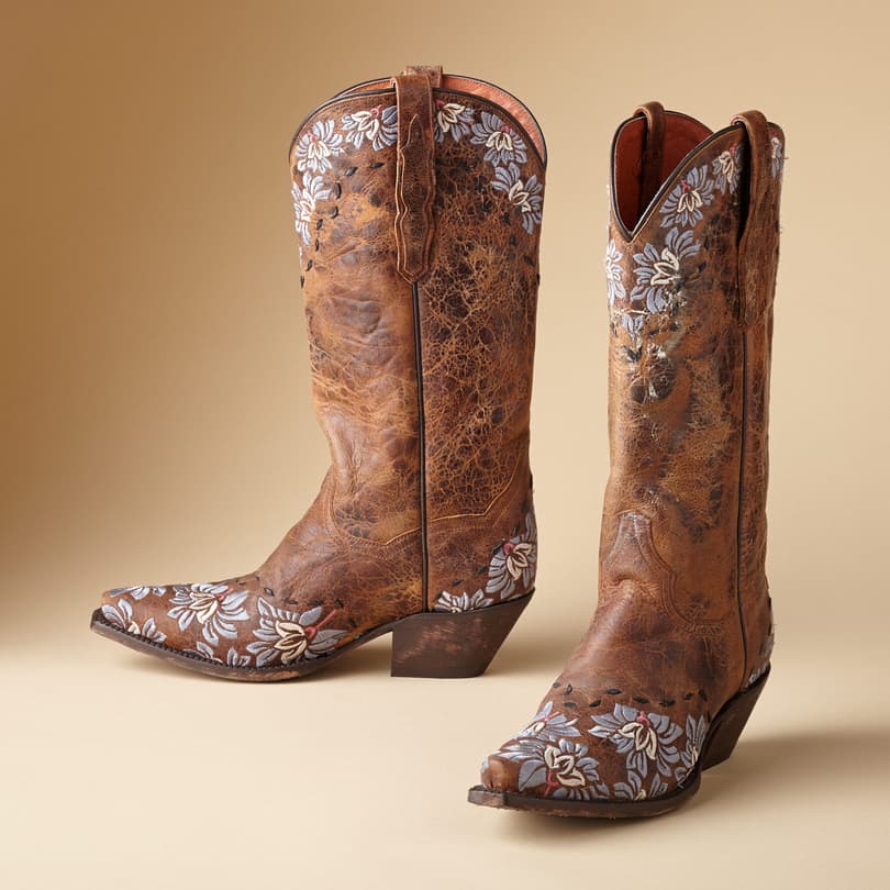 EMBROIDERED COWGIRL BOOTS view 1 DSTR BROWN