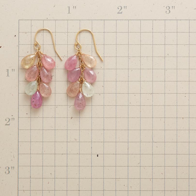 ROSY FUTURE EARRINGS view 1