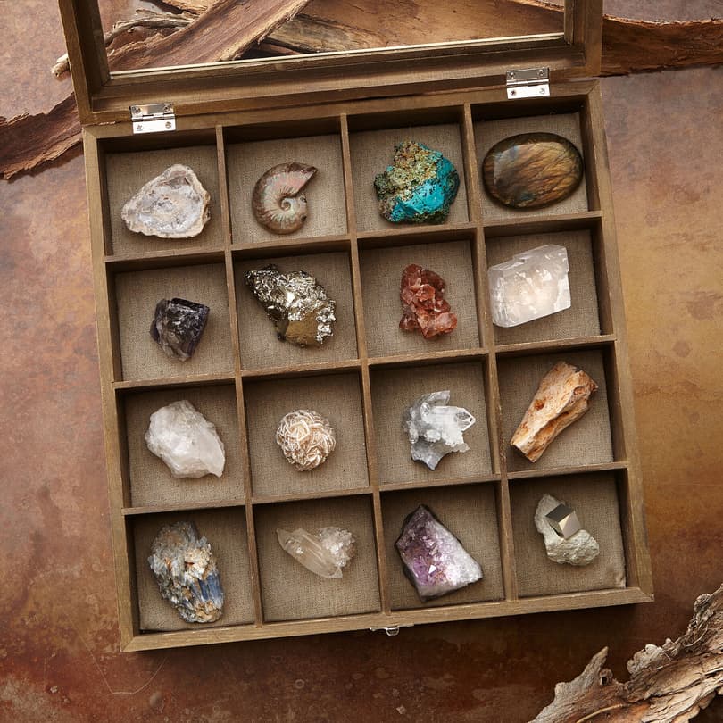 FOSSIL AND MINERAL COLLECTION view 1