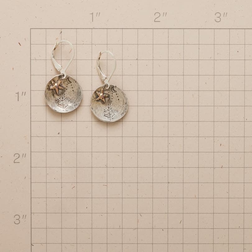 Cup Of Starlight Earrings View 3