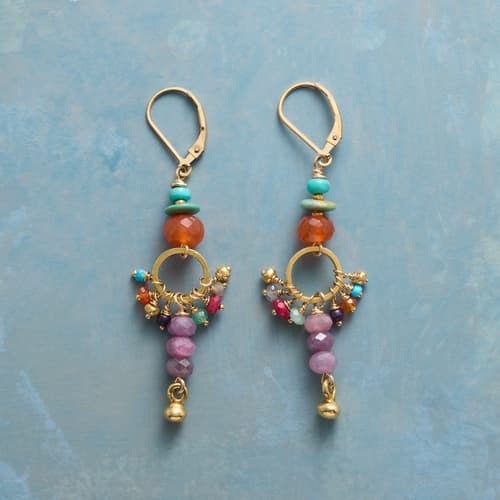 Dance Of The Dragonfly Earrings View 1