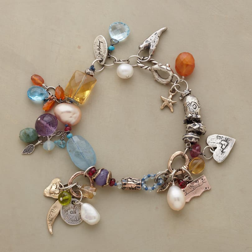 COLLECTOR'S CHARM BRACELET view 1