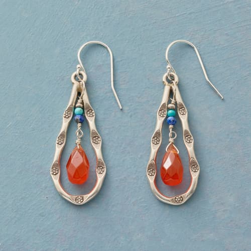 Passion For Life Earrings View 1