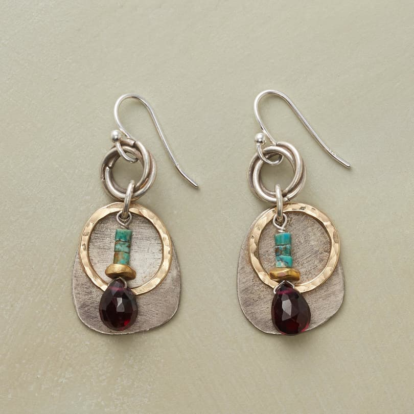CIRCLES AND STONES EARRINGS view 1
