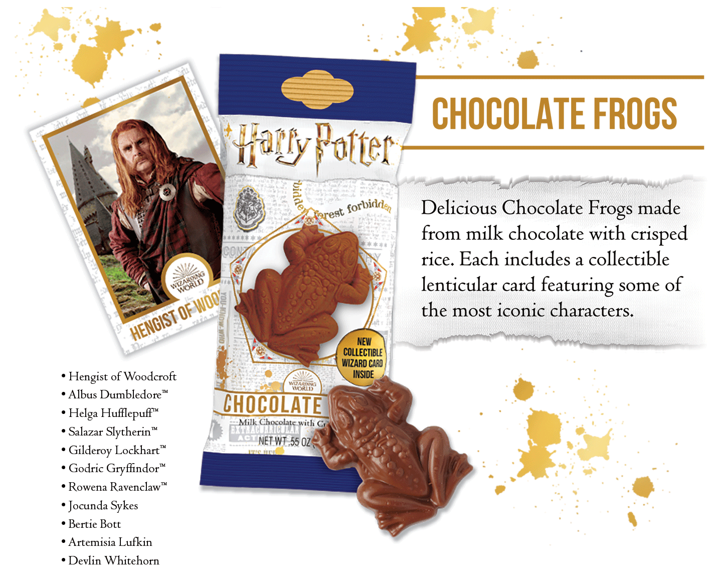 Harry Potter English International NonGDPR