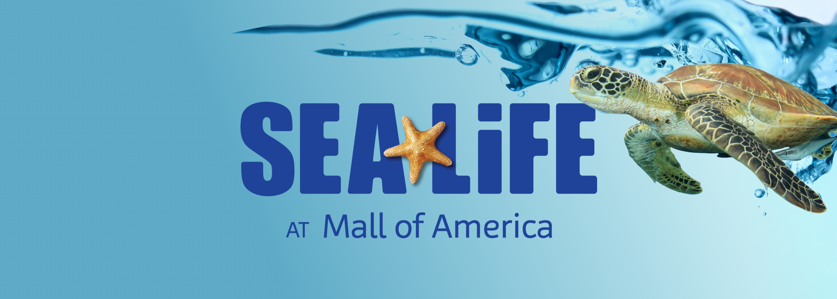SEA LIFE Aquarium at Mall of America Discounts for Military, Nurses, & More