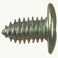 Screws 8x1.25" Pan Bz 500 Image 1