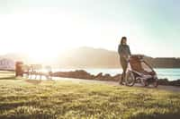 Thule Strolling Kit- Black