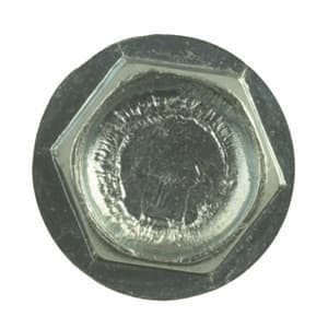 20-0875 - 50pk 1/2" Sd Screws - Image 1