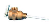 Pressure/Temperature Relief Valve