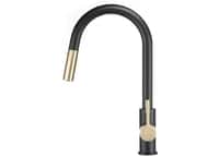 Black and Gold Pull Down Faucet