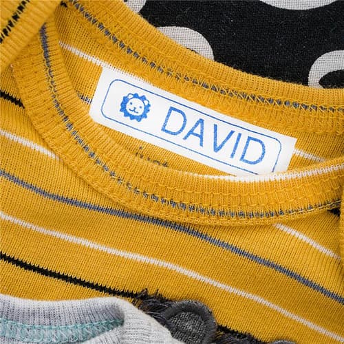 Brother PTH110 label maker with lime green TZEMQG35 and white cloth