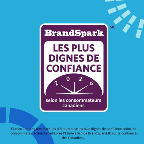 Brother P-touch PT-N25BT Étiqueteuse connectable personnelle