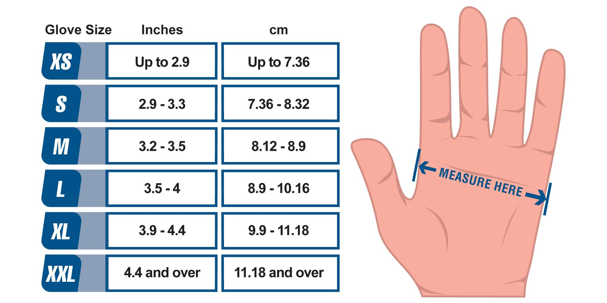 Glove Size Chart | AMMEX