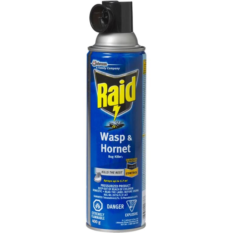Raid Wasp and Bug Killer Spray Home Hardware