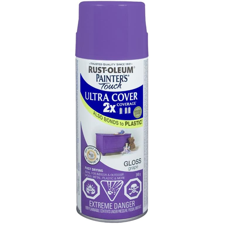 RustOleum 340g Painters Touch 2X Grape Gloss Alkyd Paint Home Hardware