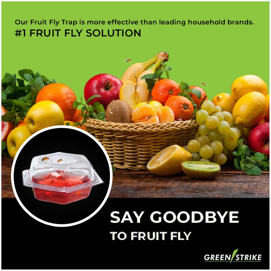 GREENSTRIKE 6 Pack Fruit Fly Traps | Home Hardware