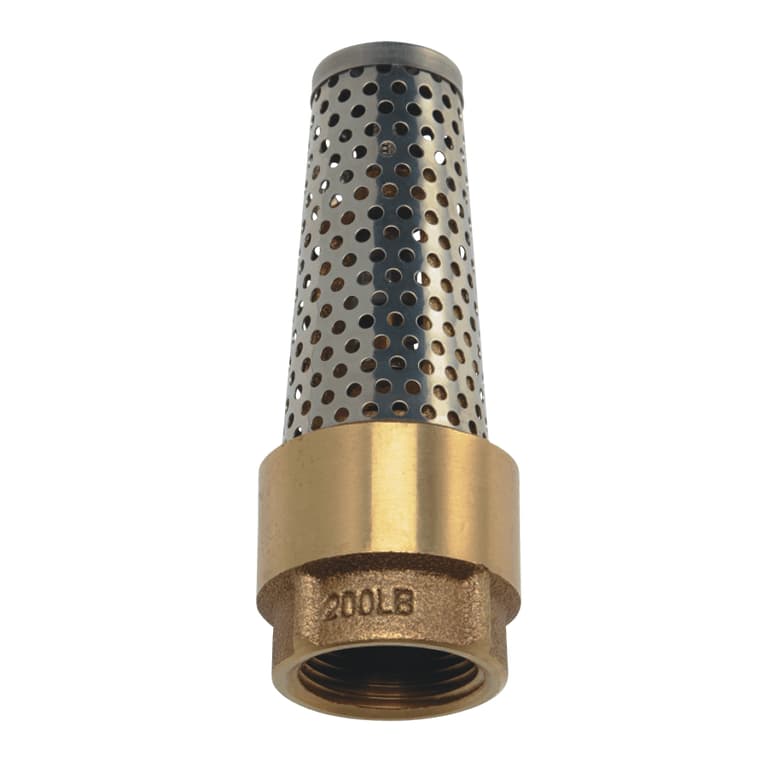 GENERIC 3/4" Brass/Stainless Steel Foot Valve Home Hardware Canada