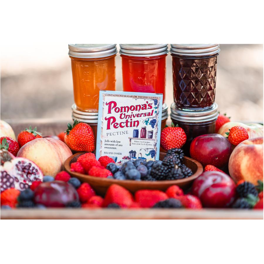 ピスピスの実 WHAT WE WANT× TENtoTEN × pastime ニクニクの実WHAT WE WANT× TENtoTEN × pastime