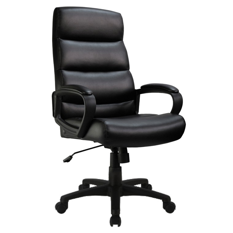 CANERGO High Back Office Chair | Home Hardware