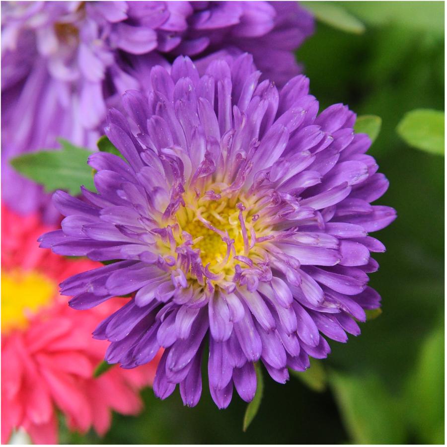 Mum♡ 90784PB_164010_TF_01.jpg