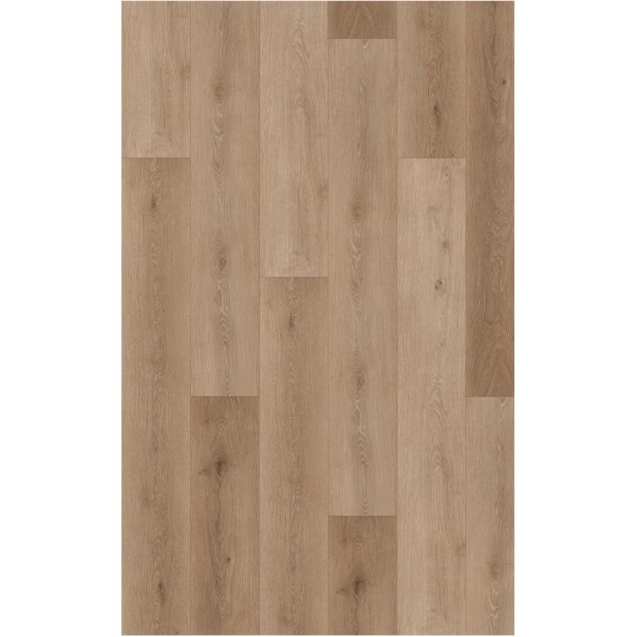 その他 Timaa TAIGA SELECT NinjaXtra Collection 7