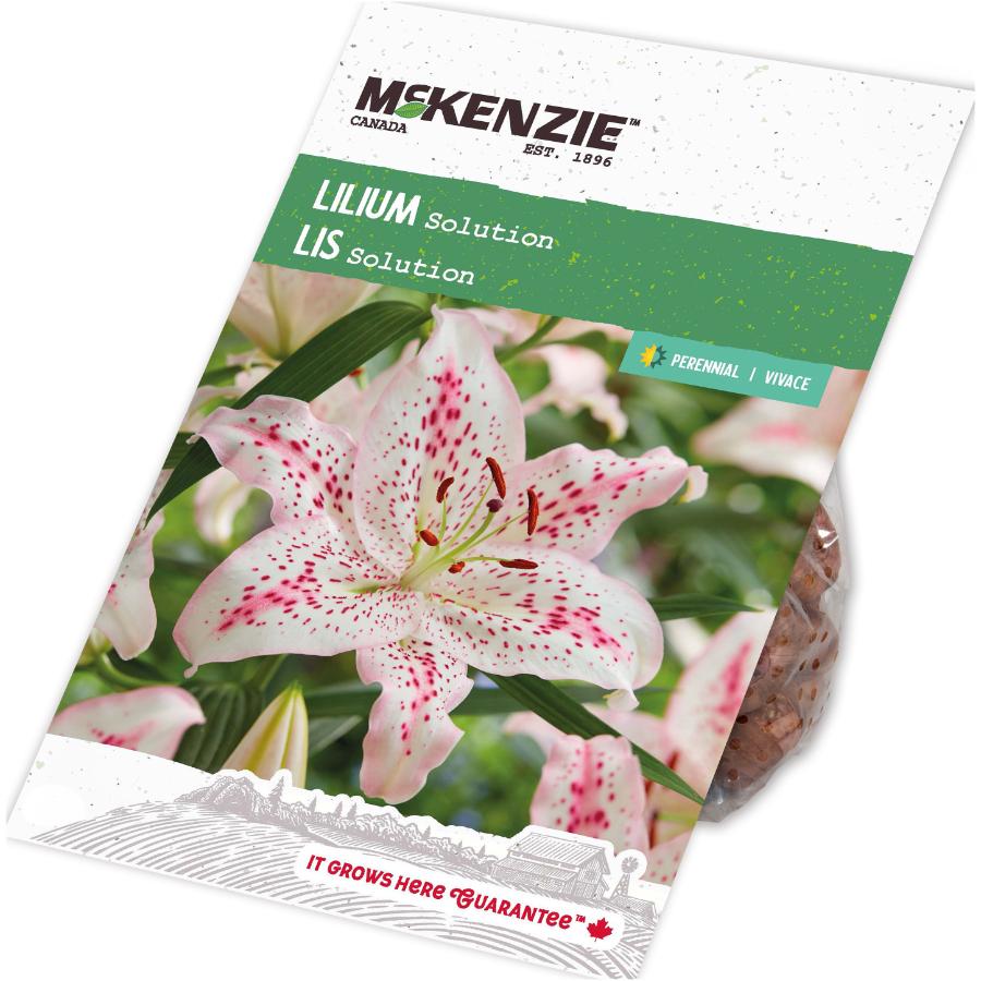 MCKENZIE Lilium Solution Flowering Bulbs | Home Hardware MCKENZIE Lilium Solution Flowering Bulbs | Home Hardware