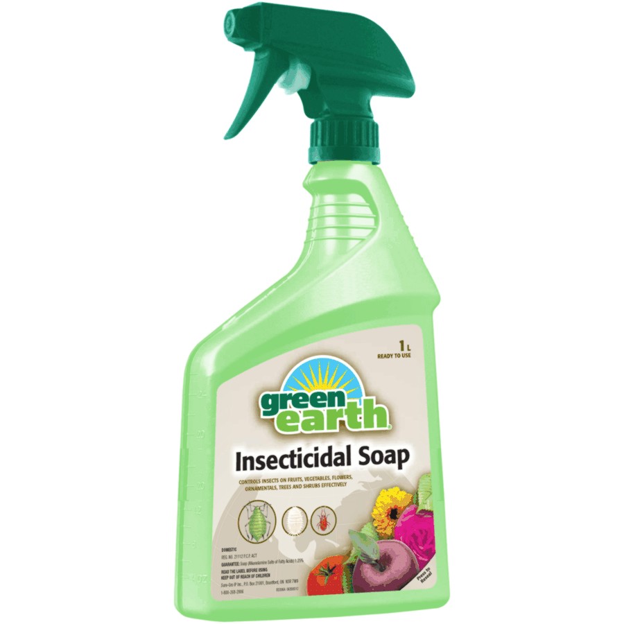 1L ReadyToUse Natural Insecticidal Soap eBay