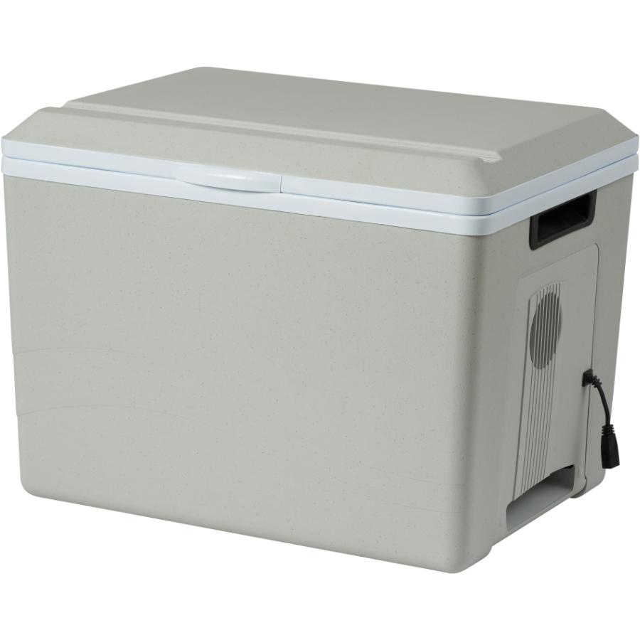 12 volt best sale ice chest