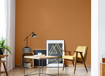 23 Colors That Go With Orange