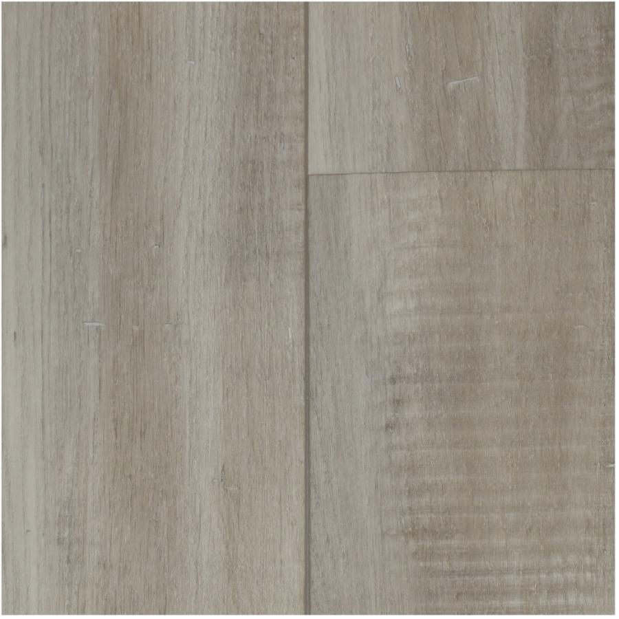 TAIGA SELECT Difference Collection 7