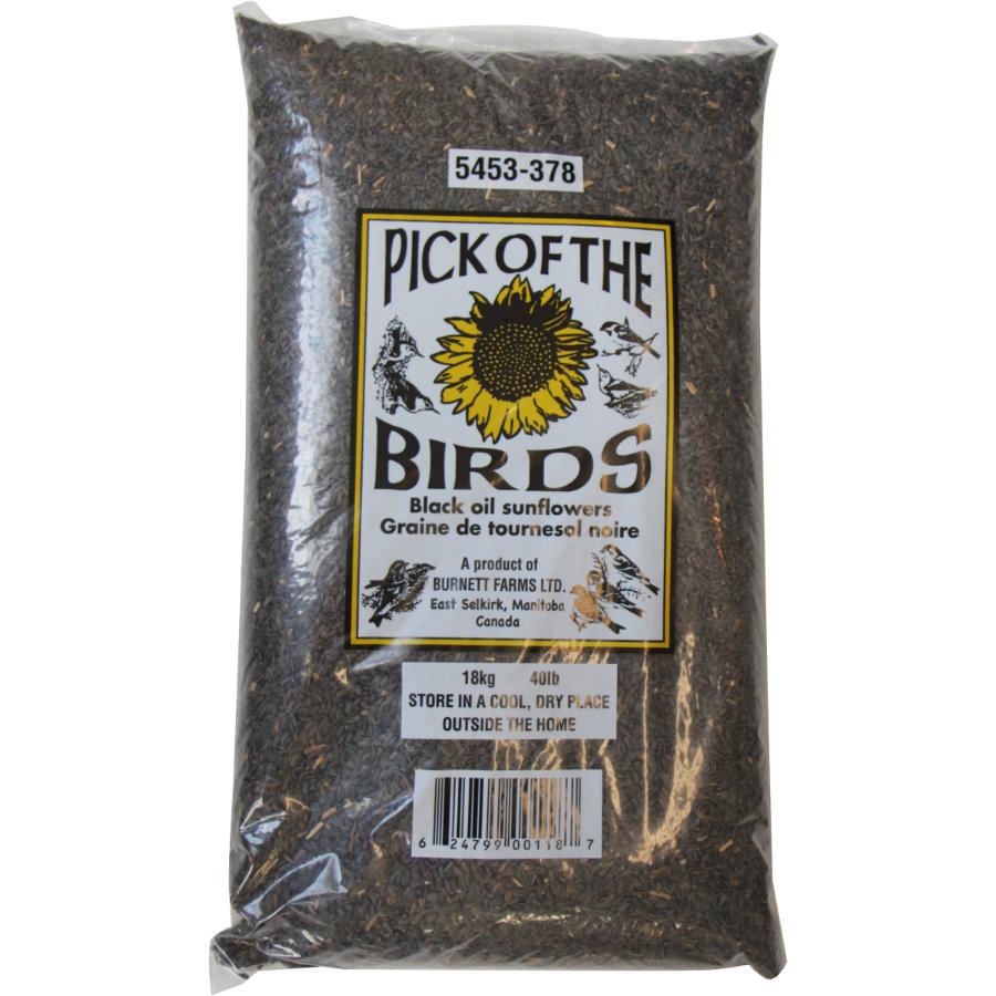 18kg Black Oil Sunflower Bird Seed eBay