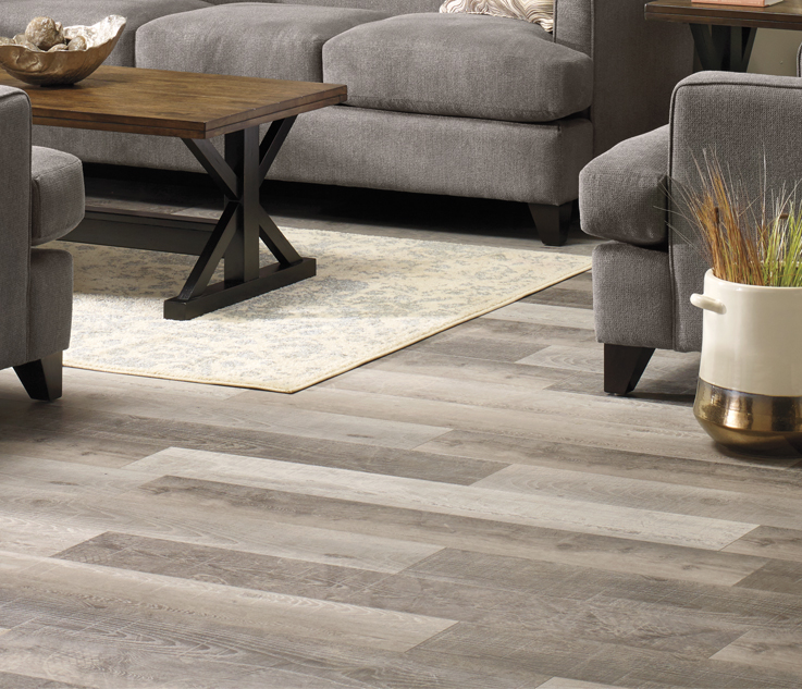 Swpeet Assortiment D'anneaux De Porc Galvanisés De 1 000 Pièces, Kit D Professionnel Pour Amortisseurs Elastiques Cordons Cages Danimaux Domestiques