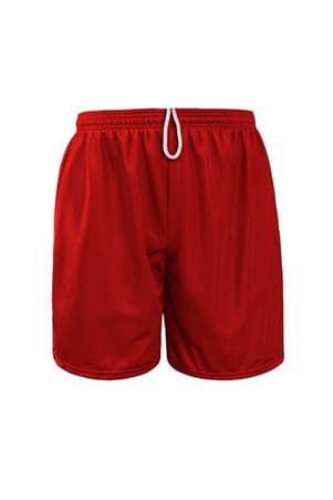 front view of  Adult Closed Mesh Shorts 5''