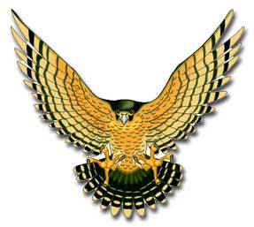 Snowy Range Academy logo