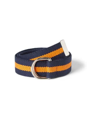 front view of  D-Ring Striped Belt